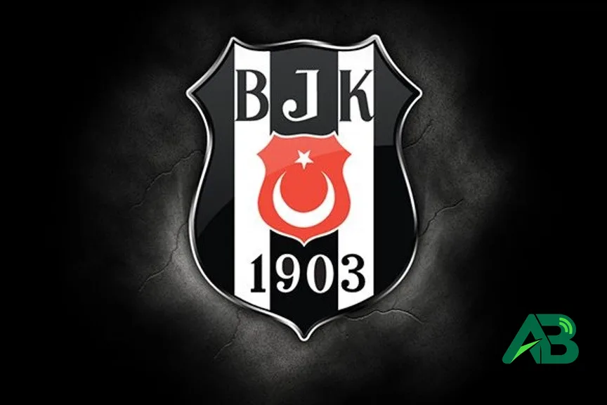 Beşiktaş olağanüstü seçimli genel kurula gidiyor