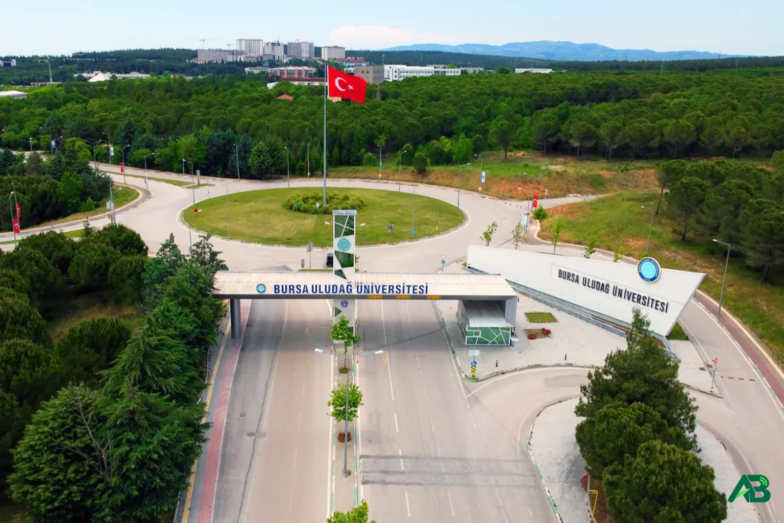 Bursa'da üniversiteden iki önemli karar! Kozalaklar satılacak, arazi kiralanacak...